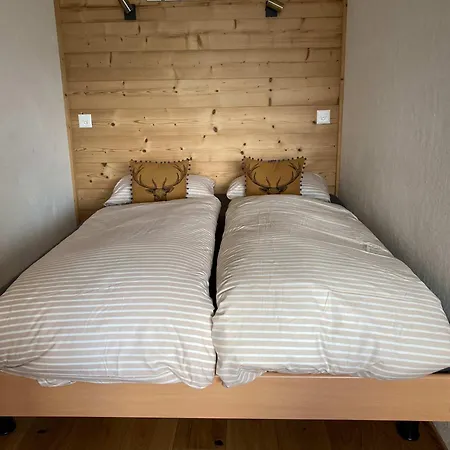 Modern In Close To Departure Apartment