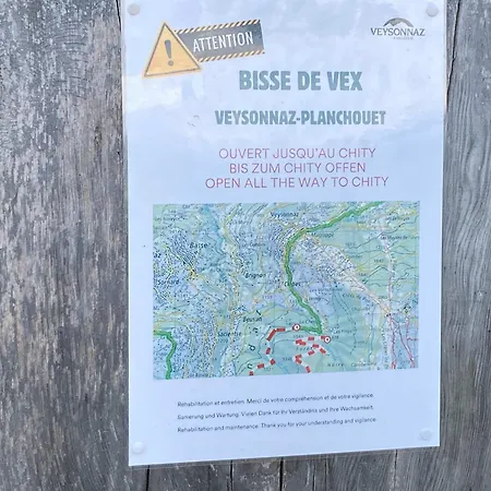 Modern In Close To Departure Veysonnaz