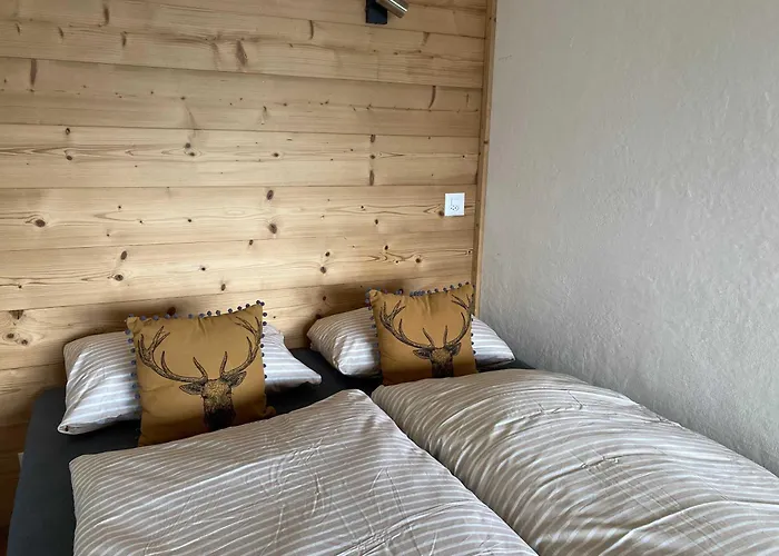 Apartamento Modern In Close To Departure Veysonnaz
